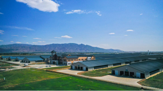 中智德智慧灯杆，点亮伊利现代智慧健康谷！